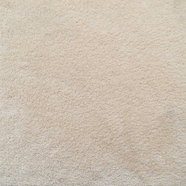Nahaufnahme eines beigen Teppichbodens mit weicher, dichter Florstruktur.