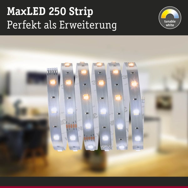 Neon Flex Leuchte mit USB-Anschluss