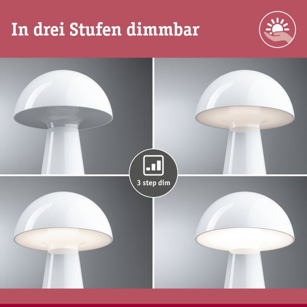 Aufladbare LED Leuchte mit USB C Anschluss Ladezeit 6 bis 7 Stunden Leuchtdauer bei voller Ladung mindestens 6 Stunden mit austauschbarem Akku