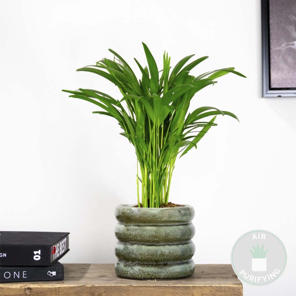 Wandleuchte mit Regal und Leselampe in verschiedenen Lichtstimmungen