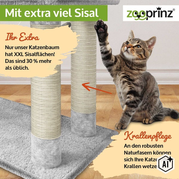 Katze kratzt an den extra langen Sisalstämmen eines Katzenbaums mit Zooprinz Logo und Hinweisen zur Krallenpflege.