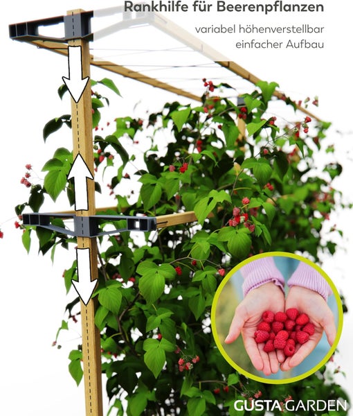 Gusta Garden Rankhilfe aus Holz für Beerenpflanzen mit variabler Höhenverstellung und Himbeerstrauch. Gusta Garden Logo.