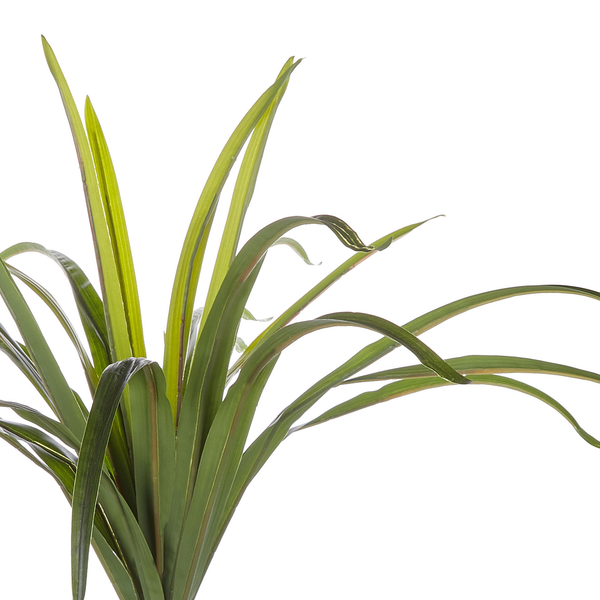 Kunstpflanze DRACAENA ANITA 147 cm Grün