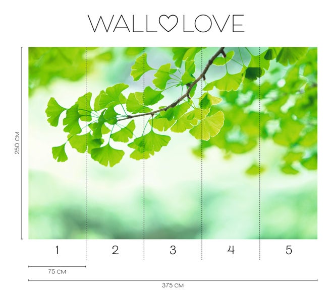 Walllove Fototapete mit Gingko-Blättern und den Maßen 250 x 375 cm