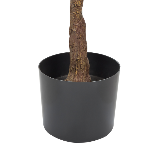 Dekorativer Baumstamm in einem Pflanzgefäß