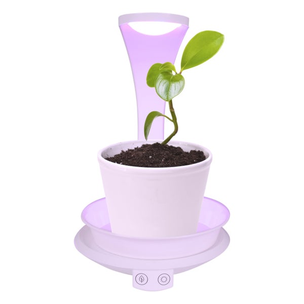 LED Pflanzen-Tischleuchte 24 cm hoch, aus Metall und Kunststoff in Weiß,  mit integrierter LED