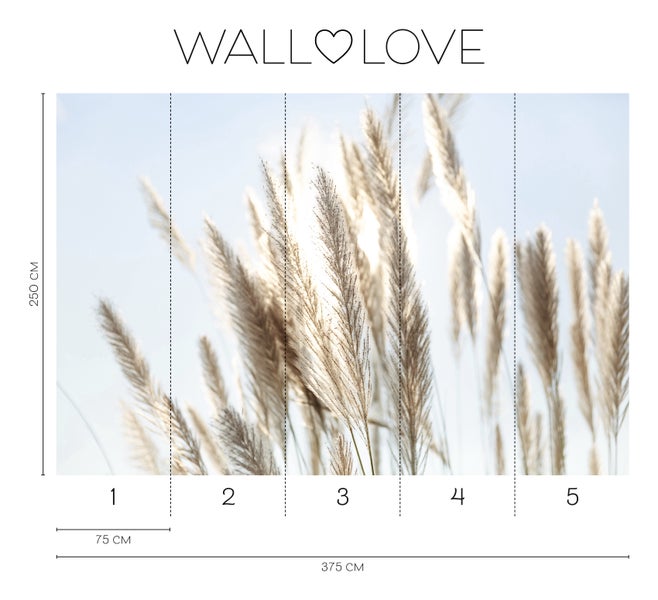 Wallpassion Gräser Fototapete, 375 cm breit und 250 cm hoch
