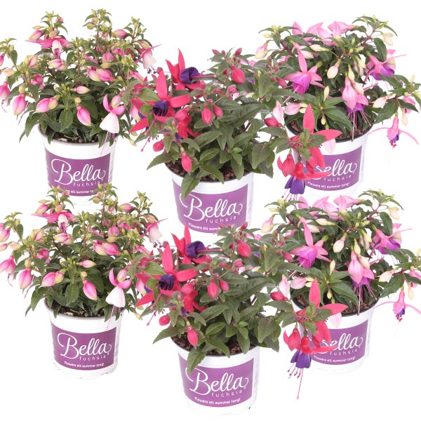 Kokosmatte auf einer Rolle für den Garten