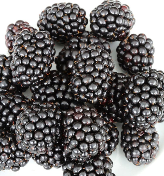 Nahaufnahme von Brombeeren