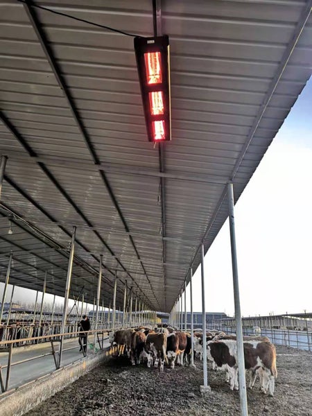 Infrarotpanel Quality Heating PRO Serie 6000W Kunststoff weiß inkl. Hochleistungswärme für große Räume, Ultra Low Glare, Decken-/Wandmontage, IP X5