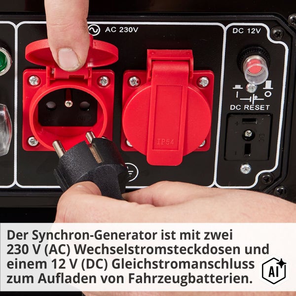 Detailansicht der Steckdosen eines Stromerzeugers mit 230 Volt Wechselstromanschluss und 12 Volt Gleichstromausgang für Fahrzeugbatterien.