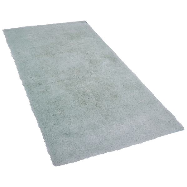 Zottelteppich EVREN Mintgrün 80 x 150 cm