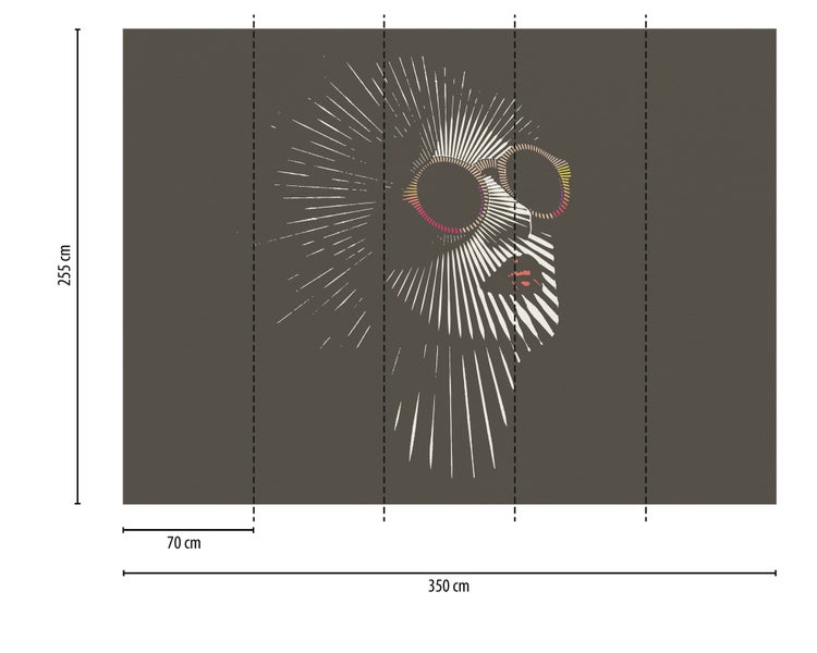 Fototapete mit abstraktem Frauenportrait und Sonnenbrille, Maße 350 mal 255 Zentimeter, bestehend aus 5 Bahnen zu je 70 Zentimeter.