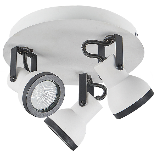 Zwei Zitrusbäumchen als Hochstamm mit orangefarbenen Früchten in schwarzen Töpfen vor einer Ziegelwand.