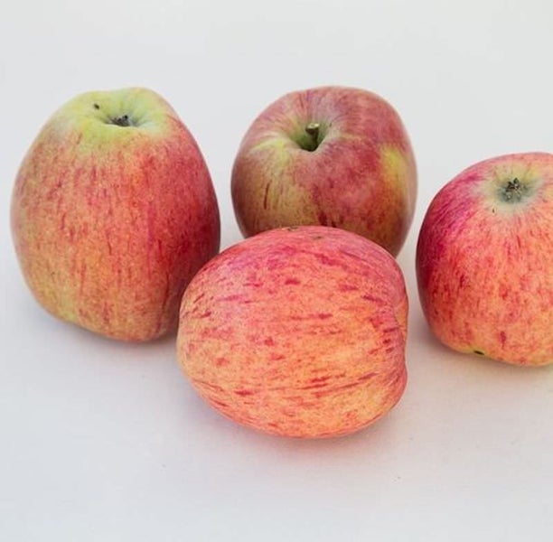 Vier Äpfel auf hellem Untergrund.