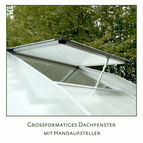 Großformatiges Gewächshaus-Dachfenster aus Hohlkammerplatten mit manuellem Handaufsteller zur Belüftung.