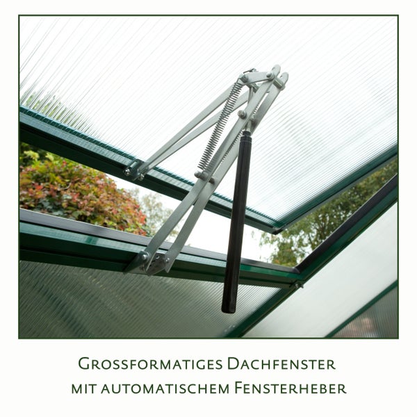 Großformatiges Dachfenster für Gewächshäuser mit montiertem automatischem Fensterheber aus Metall.
