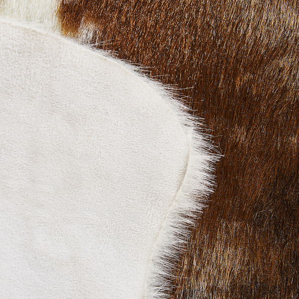 Nahaufnahme von Fell mit natürlicher Zeichnung