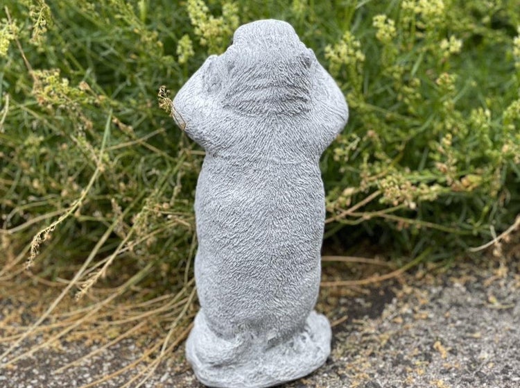 Gartenfigur Erdmännchen aus Stein in stehender Pose vor Pflanzen