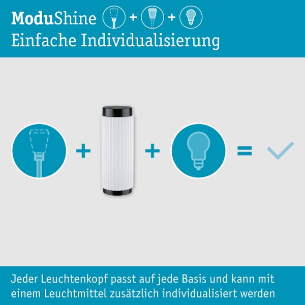 Paulmann ModuShine Ferina Außenwandleuchte mit Rippendesign und Produktverpackung