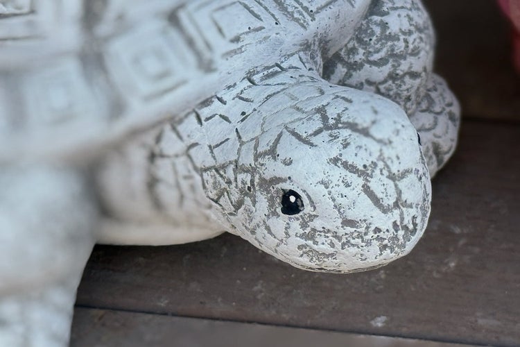 Dekorative Gartenfigur in Form einer Schildkröte aus witterungsbeständigem Material mit strukturierter Oberfläche.