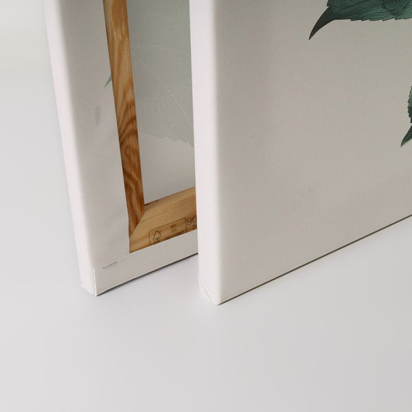 Detailansicht zweier Leinwandbilder mit Holzrahmen