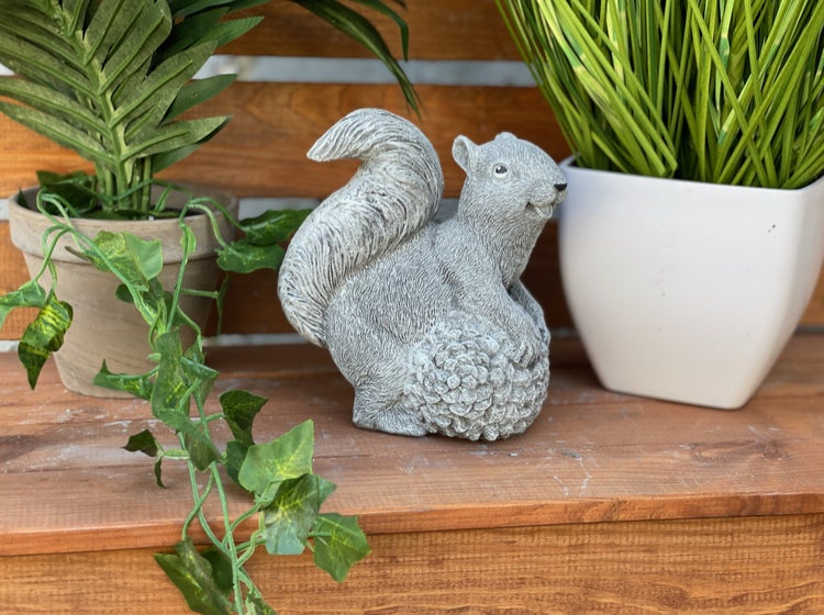 Dekorative Eichhörnchen Gartenfigur aus Kunststein, sitzend mit einem Tannenzapfen auf einer Holzablage zwischen Zimmerpflanzen.