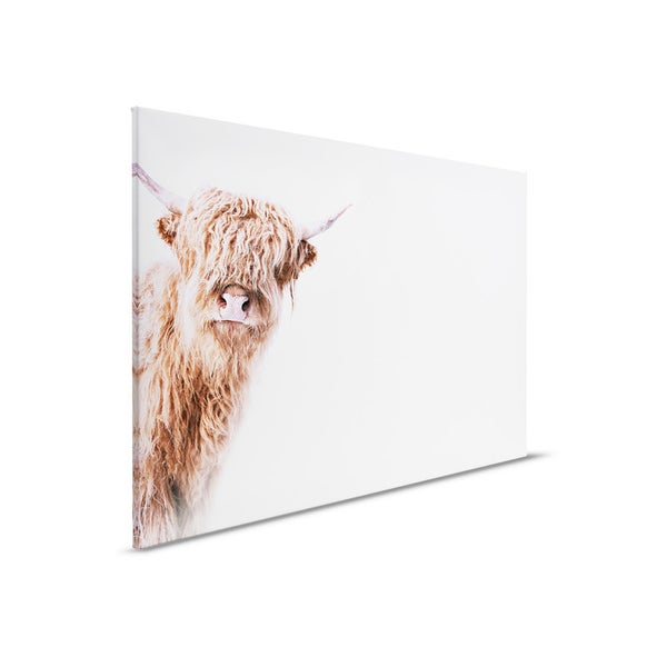 Wandbild mit einem schottischen Hochlandrind