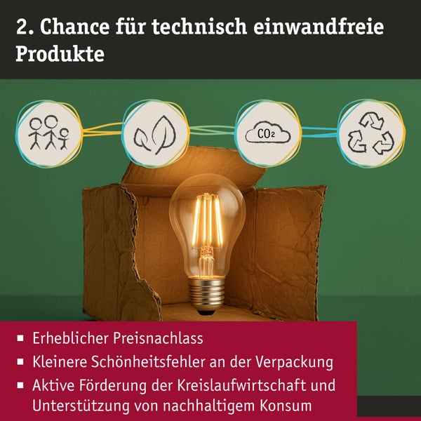 Paulmann Plug and Shine Classic Light Basket Außenleuchte mit Korbdesign und Verpackungskarton B Ware