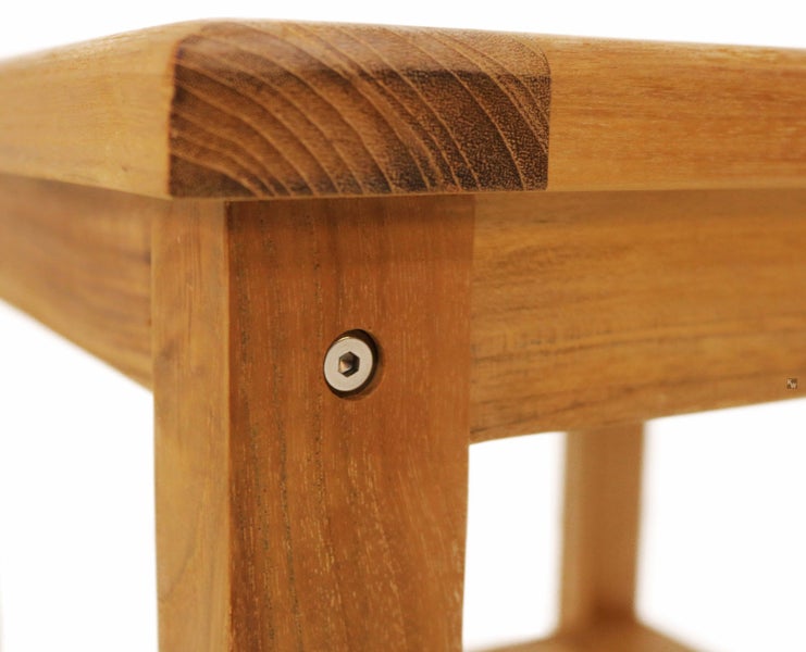 Spindelstrauch mit grün-gelben Blättern