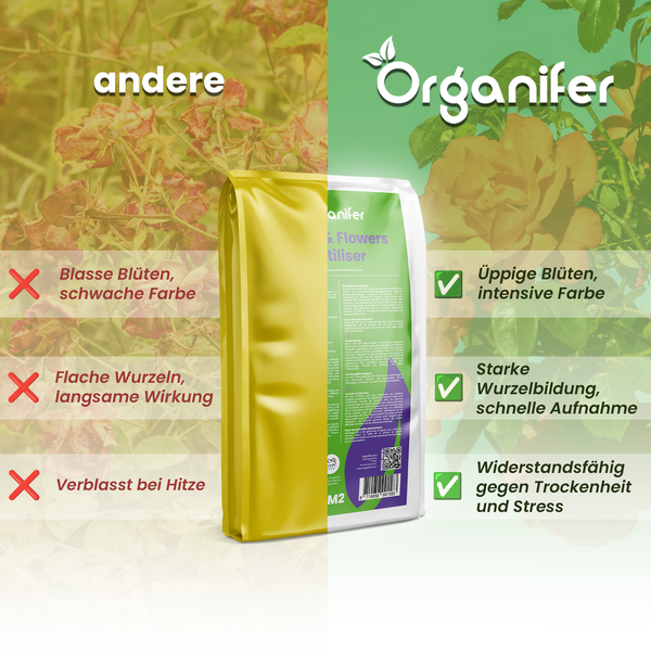 Darstellung eines Vergleichs von Organifer-Blumendünger mit anderen Produkten, der die Vorteile wie üppige Blüten, starke Wurzelbildung und Widerstandsfähigkeit gegen Trockenheit hervorhebt