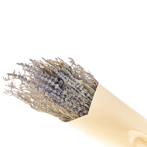Trockenblumenstrauß NAWARRA 70 cm Naturfarben