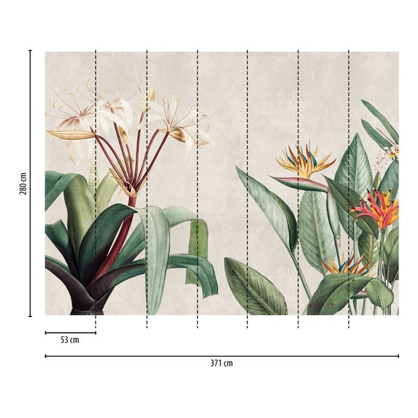 Fototapete mit Illustrationen von tropischen Blumen und Pflanzen, Höhe 280 Zentimeter, Breite 371 Zentimeter, Bahnbreite 53 Zentimeter.