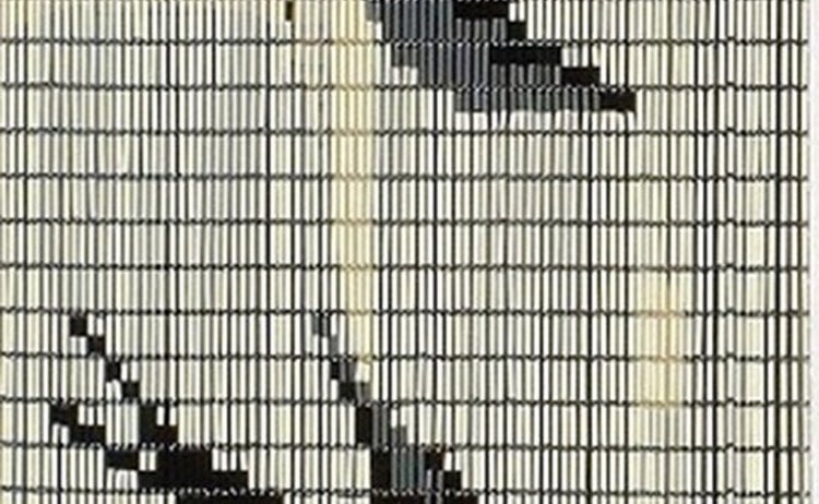 Fliegenvorhang Kunststoffhülsen Creme schlucken - 90cm x 210cm