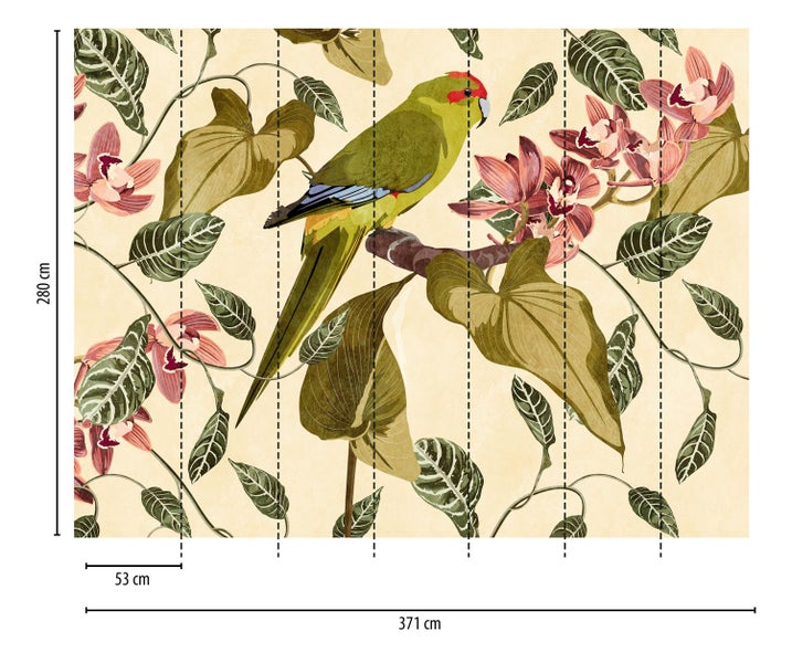 Fototapete mit Papagei-, Orchideen- und Blattmotiven, Maße 371 x 280 cm
