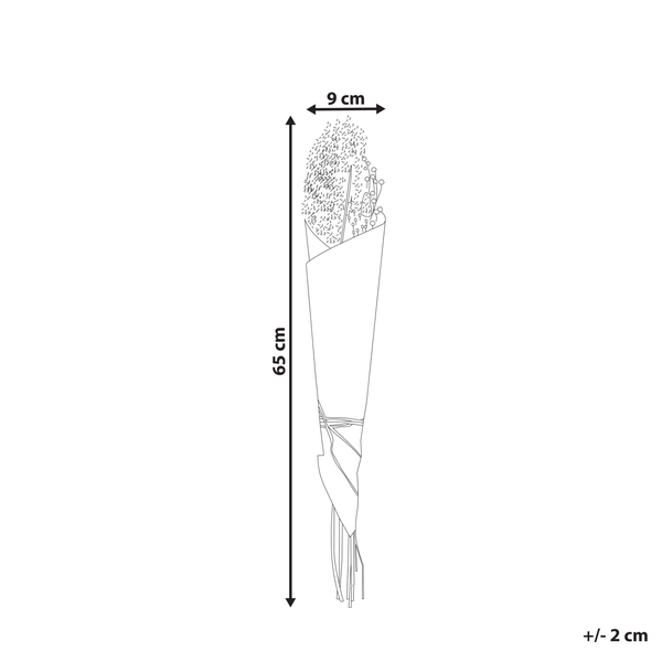 Trockenblumenstrauß BRUNETE 65 cm Naturfarben