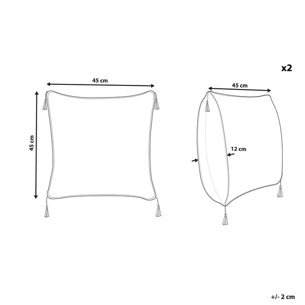 Dekokissen 2er Set CAMELLIA 45 x 45 cm Grau Geometrisches Muster