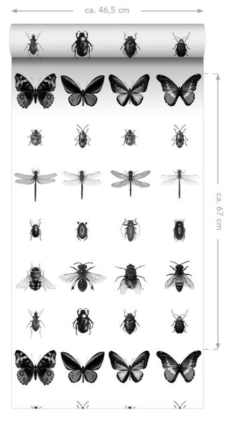 ESTAhome XXL-Vliestapete Zeichnungen von Insekten Schwarz-Weiß - 50 x 900 cm - 158827