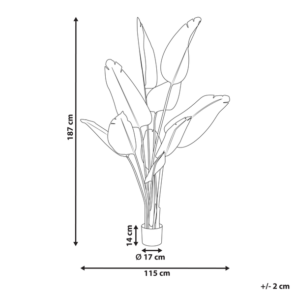 Abmessungen einer künstlichen Strelitzie im Topf: 187 cm hoch, 115 cm breit, Topf 14 cm hoch und 17 cm Durchmesser