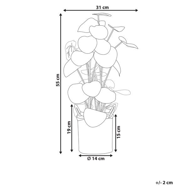 Illustration einer Ufopflanze im Topf mit Maßangaben