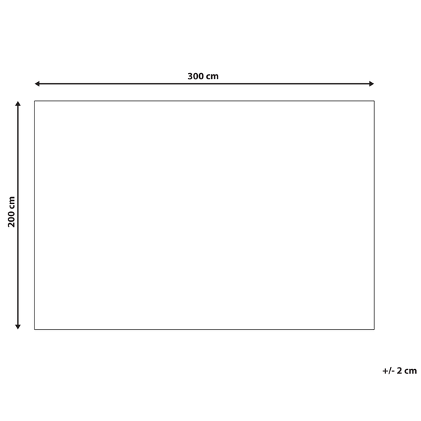 Teppich SANAO Beige 200 x 300 cm