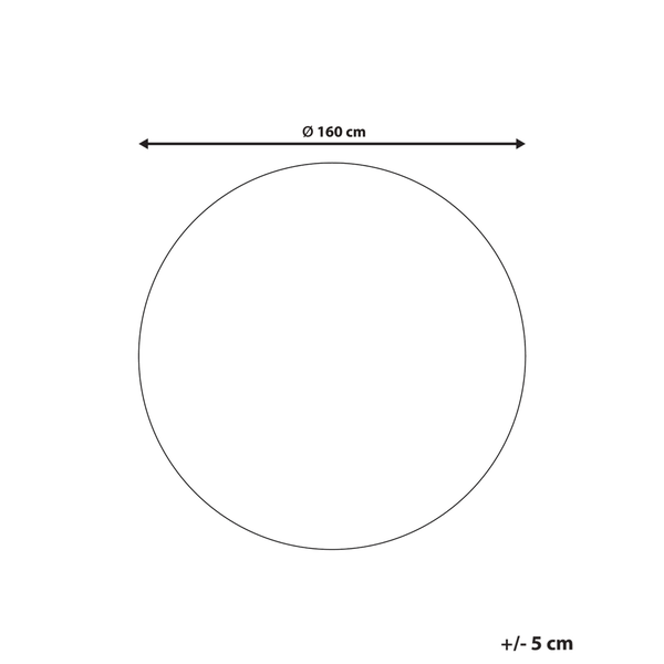 Technische Zeichnung eines Kreises mit einem Durchmesser von 160 Zentimetern und einer Toleranz von plus oder minus 5 Zentimetern.