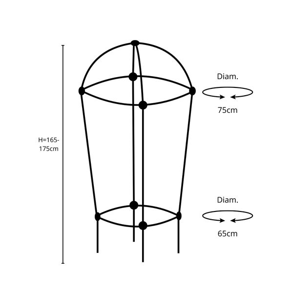 Abbildung eines Pflanzenstützgerüsts mit einer Höhe von 165 bis 175 cm und einem Durchmesser von 65 bis 75 cm