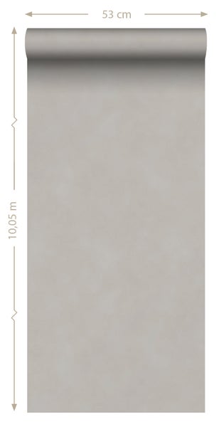 Sanders und Sanders Tapete Uni Taupe - 53 cm x 10,05 m - 935209