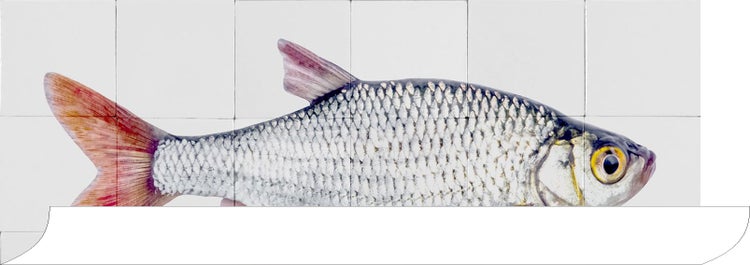 ESTAhome Wandtattoo Fisch Grau und Rot - 97 x 48.5 cm - 159029