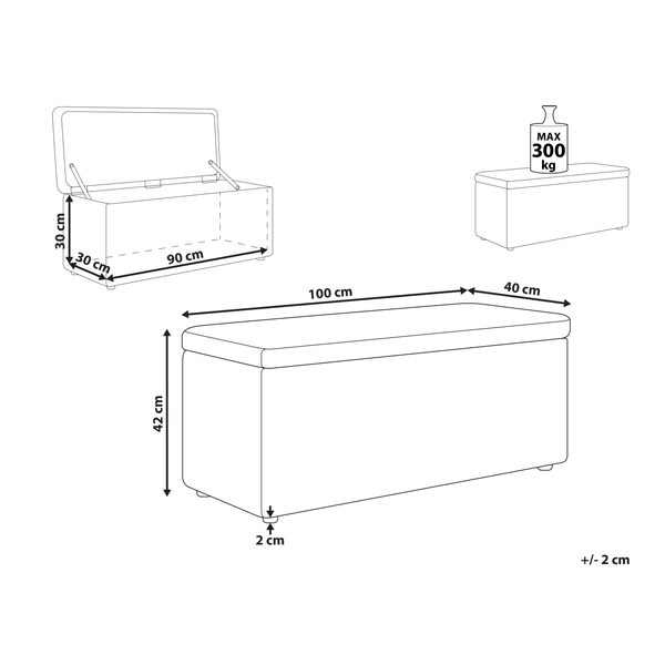 Technische Zeichnung einer Aufbewahrungsbox mit den Maßen 100 x 40 x 42 cm und einer maximalen Belastbarkeit von 300 Kilogramm.