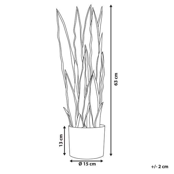 Abbildung einer Zimmerpflanze mit den Massangaben 63 cm Höhe und 15 cm Durchmesser des Topfes.