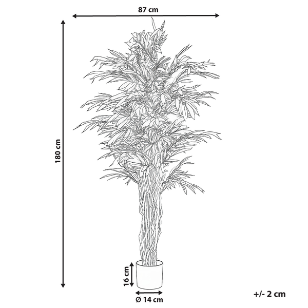 Skizze Kunstpflanze: Höhe 180 Zentimeter, Breite 87 Zentimeter, Topf 16 Zentimeter, Durchmesser 14 Zentimeter. Toleranz plus oder minus 2 Zentimeter.