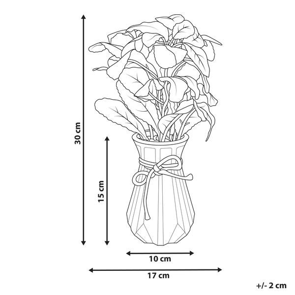 Kunstpflanze PEPEROMIA ARGYREIA 30 cm Grün