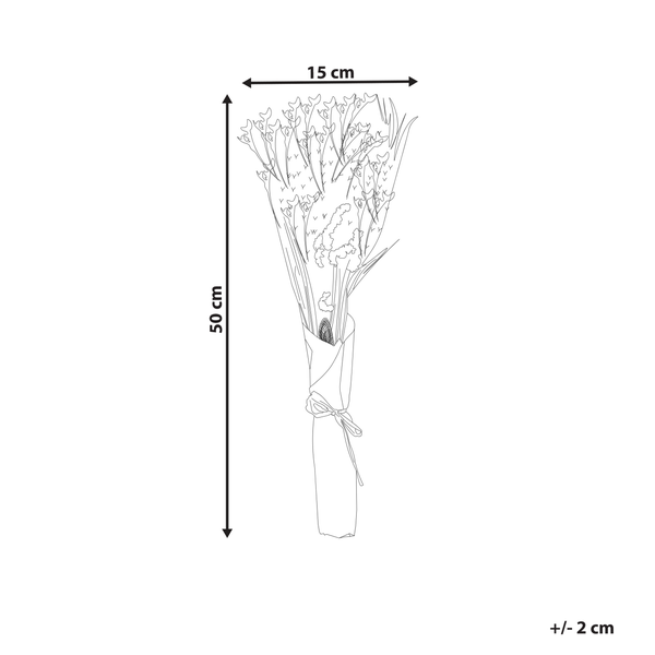 Trockenblumenstrauß ZAMORA 50 cm Rosa
